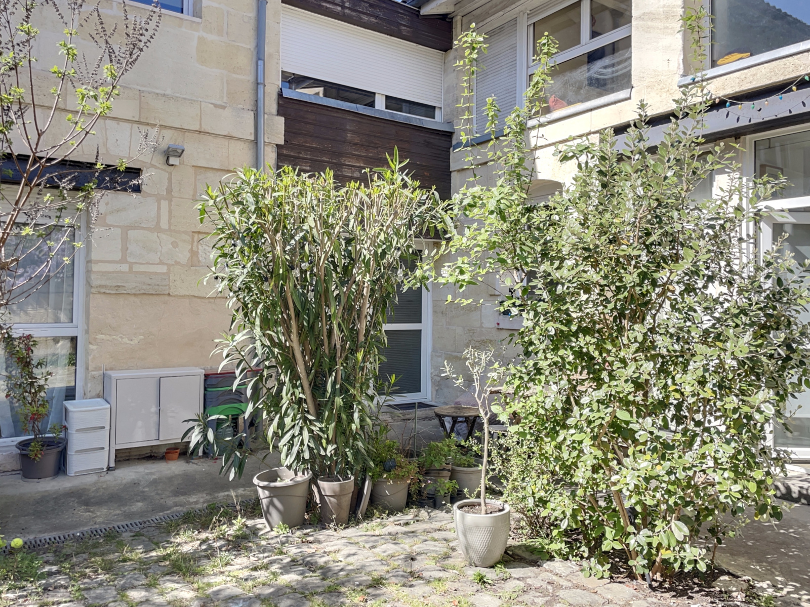 Image_, Appartement, Bordeaux, ref :BVAP10001095